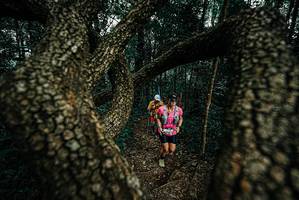 BIB: 
                            <button type="button" onclick="openModal(25692442)" class="btn btn-primary btn-sm float-right btn-popup" data-toggle="modal" data-target=".modal-high-quality">
                        <i class="fas fa-shopping-cart"></i> Add to Cart
                    </button>
                                            <button type="button" onclick="isThisMe(25692442, true)" class="btn btn-success btn-sm float-right btn-popup btn-isme hidden" data-toggle="tooltip" data-placement="bottom" title="นี่คือรูปของคุณใช่ไหม คลิกที่นี่เพื่อเอาเข้าอัลบั้ม">
                        <i class="fas fa-plus"></i> Add to album
                    </button>
                    <button type="button" onclick="isThisMe(25692442, false)" class="btn btn-warning btn-sm float-right btn-popup btn-isnotme hidden">
                        <i class="fas fa-ban"></i> Remove from album
                    </button>